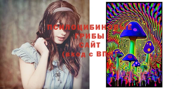 гидропоника Алзамай